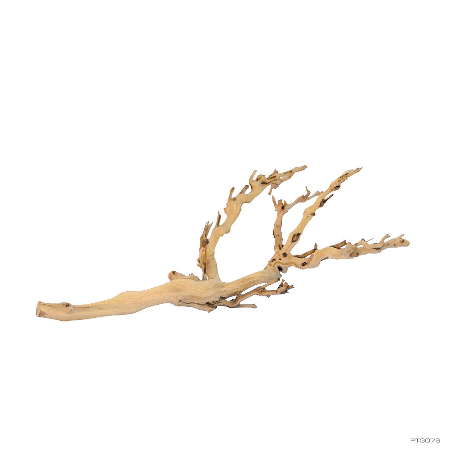 Exo Terra Ramo de &aacute;rvore m&eacute;dio Decora&ccedil;&atilde;o para terr&aacute;rios , , large Imagem n&uacute;mero 1